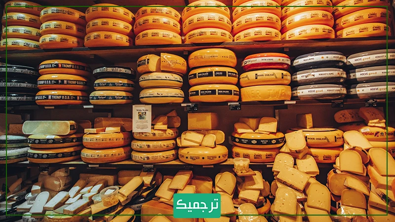 پنیر هلندی شهرت جهانی دارد