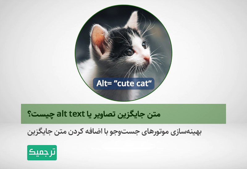 متن جایگزین تصاویر در سئو چیست؟